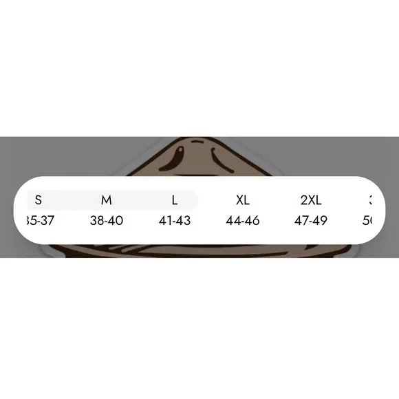 Our Parks Resist Bear Hoodie Unisex Size XL New And Unworn Resistance - Picture 7 of 7